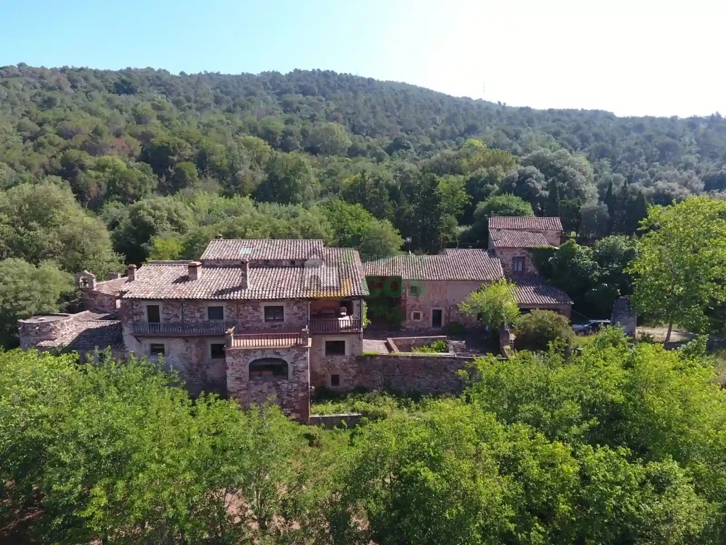 Monasterio budista de la tradición del bosque