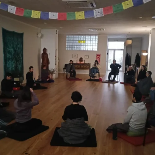20 personas practicando meditación vipassana en Sala Dana